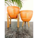 Bitki Tasarımı Nakış Desenli Terrakota Toprak Saksı Saksılık Salon Çiçeklik İkili Set 3 Ayaklı- 4 Ayaklı- 15 Cm