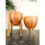 Bitki Tasarımı Siyah Çizgi Desenli Terrakota Toprak Saksı Saksılık Salon Çiçeklik İkili Set 3 Ayaklı- 4 Ayaklı- 15 Cm