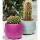 Bitki ve Kaktüs Saksısı 0,13 Lt 1 No ROYALEKS-ES01 Mariposa Secret - Renkli