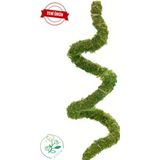 bitkicim Bitki Destek Çubuğu 100cm (ŞEKİL VERİLEBİLİR-BÜKÜLEBİLİR YOSUN SOPASI)