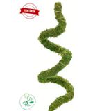 bitkicim Bitki Destek Çubuğu 60cm (ŞEKİL VERİLEBİLİR-BÜKÜLEBİLİR YOSUN SOPASI)