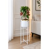bitkidünyam Bitkidunyam Mat Ayaklı Saksı, Metal, Altın Detaylı Kenar, Modern Minimalist Stil, İç Mekan, 52x21 cm No:4