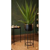 Bitkidunyam Mat Siyah Ayaklı Saksı, Metal, Altın Detaylı Kenar, Modern Minimalist Stil, İç Mekan, 62x26 cm No:12