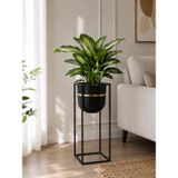 Bitkidunyam Mat Siyah Metal Kare Ayaklı Saksı, Altın Detaylı Kenar, Silindirik, Modern Tasarım, 50x20 CM No:5