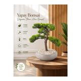 Bitkidunyam Yapay Bonsai Ağacı, Modern Gri Saksıda, İç Mekan Dekoratif Bitki