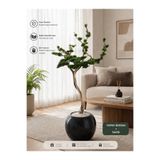 Bitkidunyam Zen Serisi Yapay Bonsai Ağacı, 200 cm, Siyah Saksılı, İç Mekan Dekorasyon Bitkisi