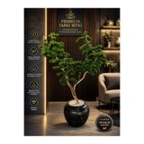 Bitkidunyam Zen Serisi Yapay Bonsai Ağacı - Siyah Mermer Desenli Küre Saksıda, İç Mekan Dekoratif Yapay Bitki