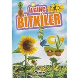Bitkiler / İlginç Bilgiler Serisi - Muhammet Cüneyt Özcan - Teleskop Popüler Bilim Yayınları