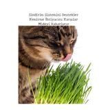Bitkim Sende 15-20 cm Canlı Filizli Kedi Çimi, Saksıda Hazır Kedi Otu