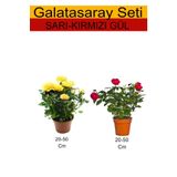 Bitkim Sende 2'Li Takım Seti Sarı Gül+ Kırmızı Gül Fidanı