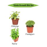 Bitkim Sende Aromatik KOKULU Mutfak Seti Adaçayı+ Fesleğen+Nane Fidesi 3 ADET
