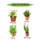 Bitkim Sende Aromatik Kokulu Mutfak Seti Adaçayı+Kekik+Nane+Biberiye Fidesi 4 Adet