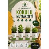 Bitkim Sende Aromatik KOKULU Mutfak Seti Fesleğen+Biberiye+Kekik+Nane+ Fidesi 4 ADET