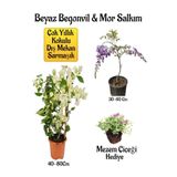 Bitkim Sende Beyaz Begonvil Çiçeği+Mor Salkım Ağacı Fidanı Mezem Çiçeği Hediyeli Bahçe Peyzaj Seti