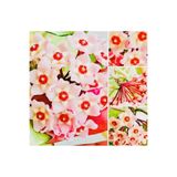 Bitkim Sende Hoya Pink, 1,5 Metre, Kokulu Mum Çiçeği Bitkisi, Koleksiyon Serisi