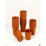 Bitkim Sende Katı Plastik Sukulent Saksısı 15 Adet Kahverengi (5.5 Cm)