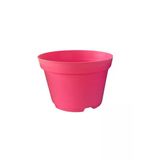 Bitkim Sende Katı Plastik Sukulent Saksısı 15 Adet Pembe (8.5 Cm)
