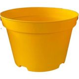 Bitkim Sende Katı Plastik Sukulent Saksısı 20 Adet Sarı (8.5 Cm)