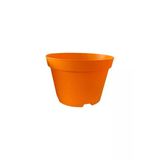 Bitkim Sende Katı Plastik Sukulent Saksısı 20 Adet Turuncu (8.5 Cm)