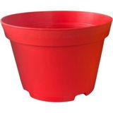 Bitkim Sende Katı Plastik Sukulent Saksısı 5 Adet Kırmızı (8.5 Cm)