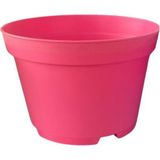 Bitkim Sende Katı Plastik Sukulent Saksısı 5 Adet Pembe (8.5 Cm)