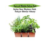 Bitkim Sende Mutfak Sebze Seti Reyhan Nane Kekik Fesleğen Biberiye Adaçayı Fidesi Toplam 6 Adet