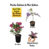 Bitkim Sende Pembe Zakkum Fidanı, Mor Salkım Ağacı Fidanı, Telgraf Çiçeği Hediyeli Bahçe Peyzaj Seti