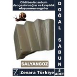 Bitkisel Organik Doğal Saç Yüz Vücut El Kullanım Cilt Sebum Dengesi Sağlayan Sabun Salyangoz 5 Adet