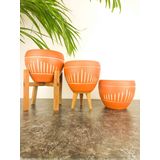 bitkitasarımı BİTKİ TASARIMI DOĞAL BEYAZ DİK ÇİZGİ TERRAKOTA TOPRAK SAKSI ÜÇLÜ SET 15 CM