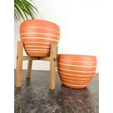 bitkitasarımı BİTKİ TASARIMI DOĞAL BEYAZ YAN ÇİZGİ DESEN TERRAKOTA TOPRAK SAKSI İKİLİ SET 4 AYAKLI-AYAKSIZ 15 CM