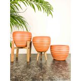 bitkitasarımı BİTKİ TASARIMI DOĞAL BEYAZ YAN ÇİZGİ DESEN TERRAKOTA TOPRAK SAKSI ÜÇLÜ SET 15 CM