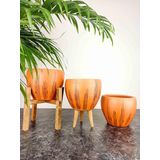 bitkitasarımı BİTKİ TASARIMI DOĞAL SİYAH ÇİZGİ DESEN TERRAKOTA TOPRAK SAKSI ÜÇLÜ SET 15 CM