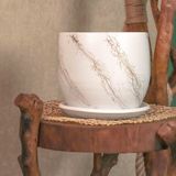 Bitkitasarımı Ev Dekorasyon Beyaz Üzeri Gold Tabaklı Terracota Toprak Saksı Saksılık Salon Çiçeklik 19 CM