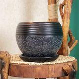 Bitkitasarımı Ev Dekorasyon Siyah Granit Küp Tabaklı Terracota Toprak Saksı Saksılık Salon Çiçeklik Büyük Boy