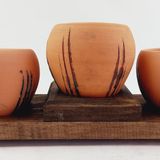 Bitkitasarımı Terracota Model Çoklu Kaktüs Saksısı No 3