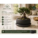 BitkiTÜRK 19X10 cm Beton Saksı ve Altlık Seti – Sukulent, Bonsai ve Iç Mekan Bitkileri Için Dekoratif Saksı