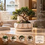 BitkiTÜRK Beton Bonsai Saksısı ve Altlık Seti | Dekoratif Saksı, Iç Mekan Bitkileri, Sukulent ve Kaktüs Aranjmanları Için