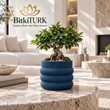 BitkiTÜRK Beton Saksı Orkide Saksısı Bonsai Saksısı Iç Mekan Bitkileri Saksısı Vazo Dekoratif Saksı