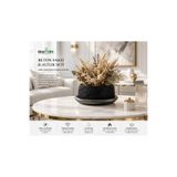 BitkiTÜRK Beton Saksı &Saksı Altlığı 12×21cm Bonsai Çiçek Saksısı