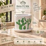 BitkiTÜRK Beton Saksı ve Altlık Seti 16X16 cm | Kaktüs Sukulent Bonsai Aranjman ve Iç Mekân Bitkileri Saksısı