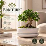 BitkiTÜRK Beton Saksısı ve Altlık Seti | Iç Mekan Bitkisi, Bonsai, Sukulent ve Kaktüs Aranjmanları Için Dekoratif Saksı