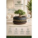 BitkiTÜRK Bonsai, Sukulent Aranjmanı ve Iç Mekan Bitkileri Için Dekoratif Beton Saksı ve Altlık Seti 18 Cm, Modern Saksı, Masaüstü Saksısı, Ofis ve Ev Dekoru, Bonsai Saksısı