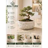 BitkiTÜRK Çiçek Motifli Beton Saksı 20X10 cm | Bonsai, Sukulent, Kaktüs ve Iç Mekan Bitkileri Için Dekoratif Saksı & Organizer