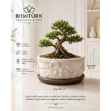 BitkiTÜRK Çiçek Motifli Beton Saksı ve Altlık Seti 20X10 cm | Bonsai, Barış Çiçeği, Sukulent, Iç Mekan Saksısı, Dekoratif Organizer