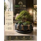 BitkiTÜRK Dekoratif Beton Saksı ve Altlık Seti 20 cm | Bonsai, Zeytin Ağacı, Sukulent ve Iç Mekan Bitkileri Için El Yapımı Premium Tasarım