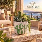 BitkiTÜRK Iç Mekân Bitkileri, Bonsai, Kaktüs ve Sukulent Aranjman Saksısı – Dekoratif Beton Saksı