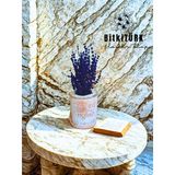 Bitkitürk- Kitap Beton Saksıda Lavanta