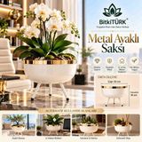 BitkiTÜRK Metal Ayaklı Saksı Organizer Beyaz Gold 24 cm Dekoratif Saksı Salon Balkon Banyo Masaüstü