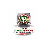 Bittox Amedspor Taraftar Logolu Bileklik İtalyan Charm- Çelik Bileklik Uyumlu Şık İtalyan Charm