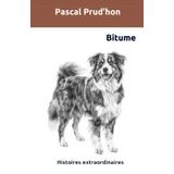 Bitume